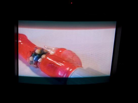 Signal and Noise exhibition (VAN)