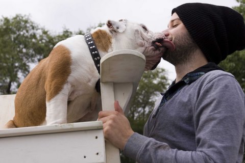 Piknic Electronik 4 octobre @ Parc Jean-Drapeau