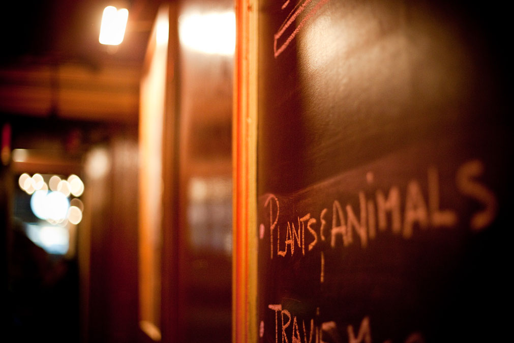 Little Scream + Plants and Animals au National