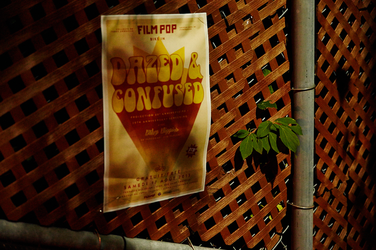 Ciné en plein air avec l’acteur Wiley Wiggins du film «Dazed And Confused»!