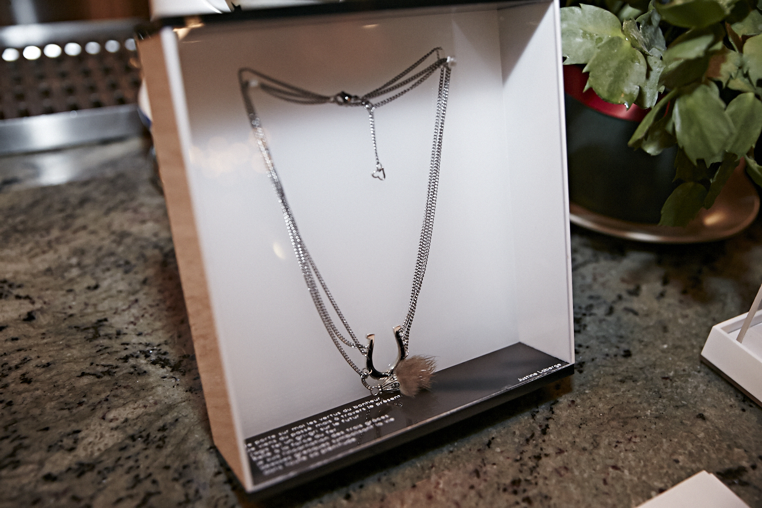 Lancement de Bijoux Mohawki et encan silencieux au profit de Robin des Bois