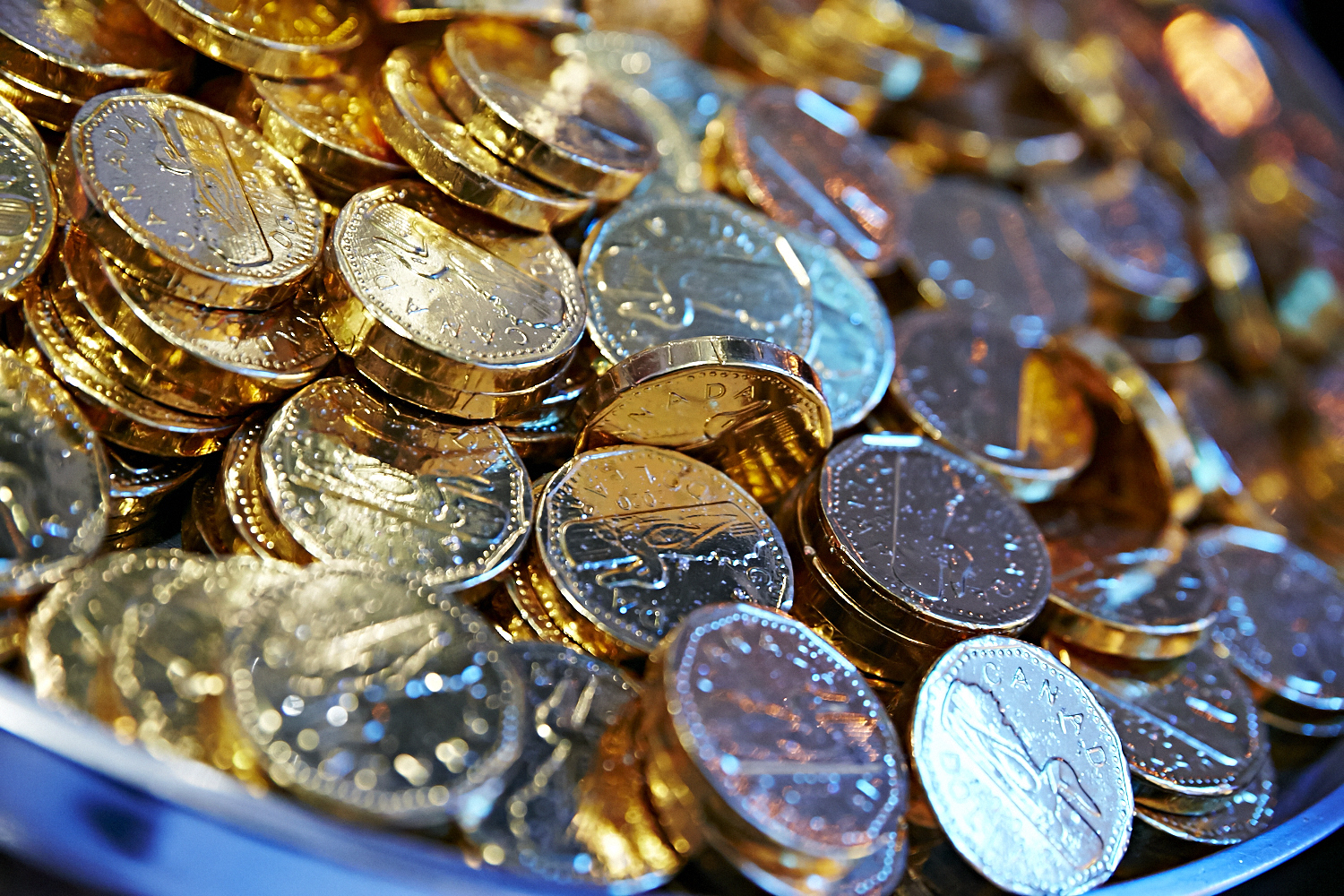 Un réveillon lumineux à la Galerie 203, en partenariat avec l'Assomoir