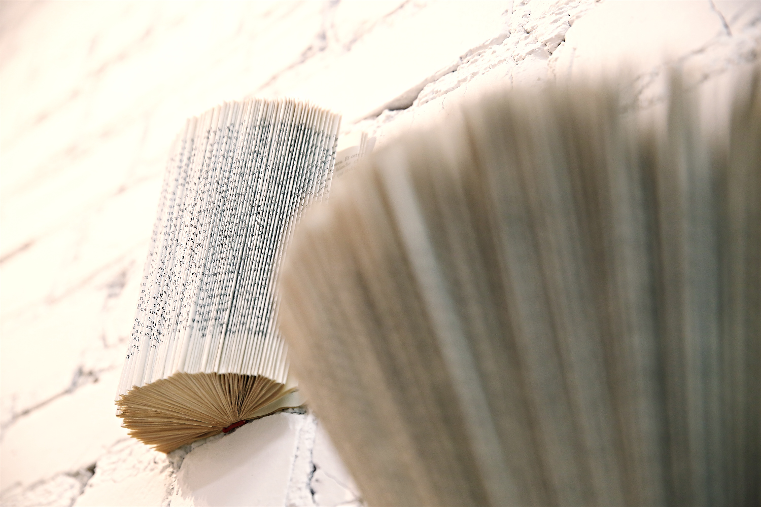 Notre boutique chérie, Onze, offrait une soirée mode Tatiana & Natouchi