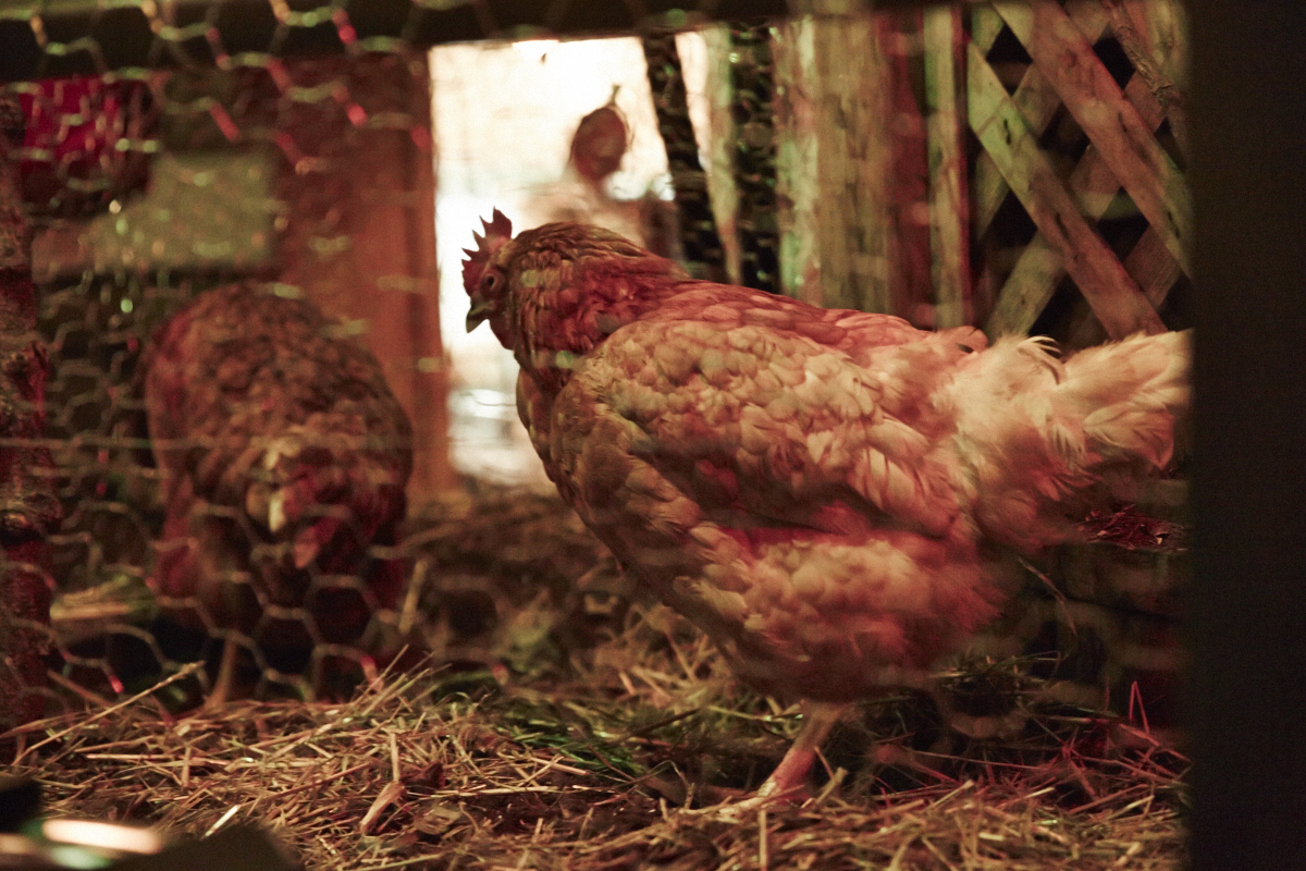 Fiesta caliente à l'Abreuvoir!