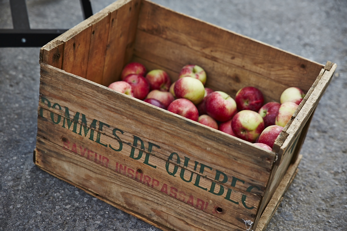 Park(ing) Day Montréal: notre ville déguisée par des nouveaux espaces de stationnement