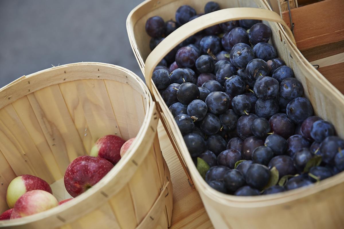 Park(ing) Day Montréal: notre ville déguisée par des nouveaux espaces de stationnement