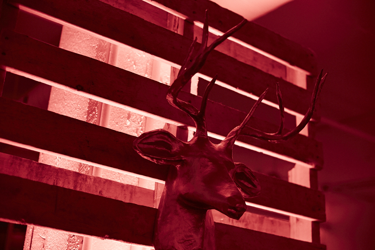 Celsius communication fête ses 15 ans dans une ambiance full lumbersexual