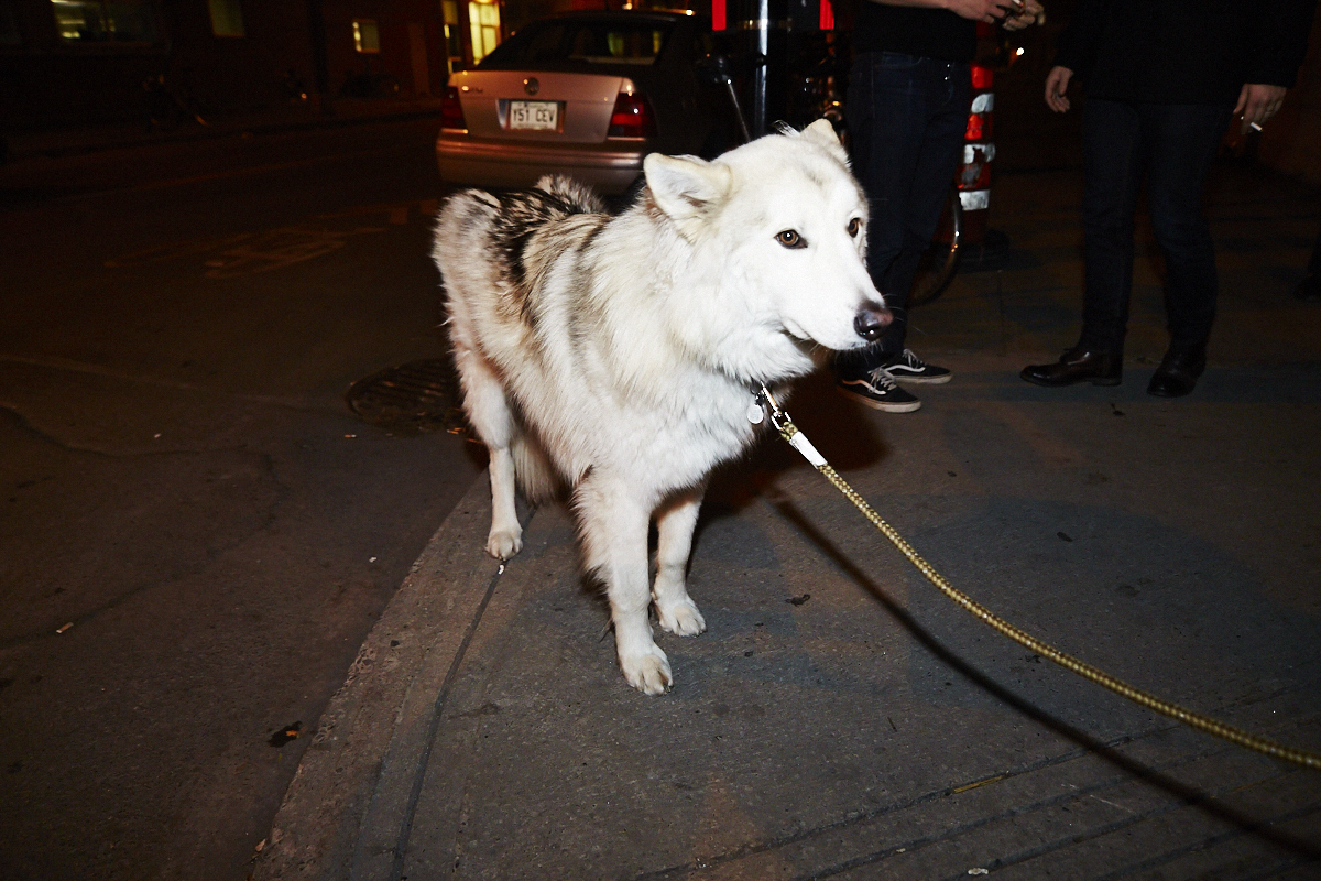 Folle soirée dans St-Henri pour les deux ans du bar de Courcelle