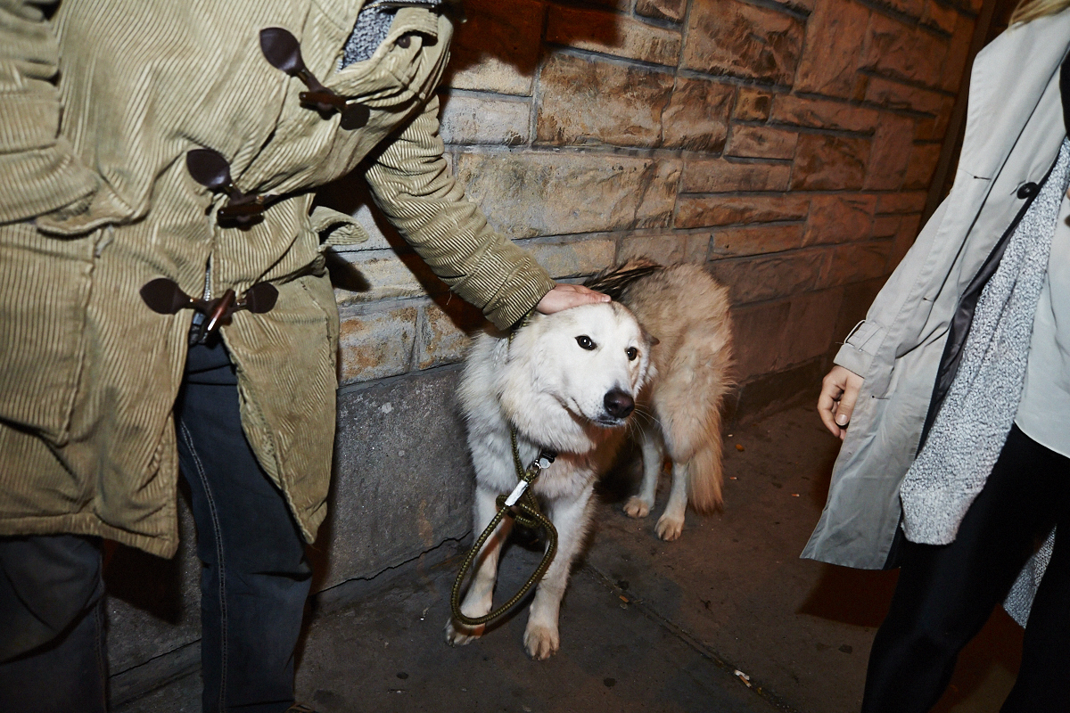 Folle soirée dans St-Henri pour les deux ans du bar de Courcelle