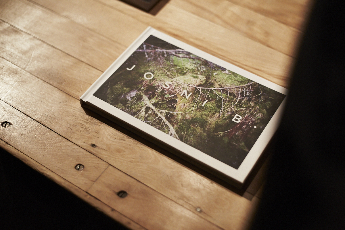 Montréal se dévoile sous l'oeil de Josni Bélanger à l'Atelier b.