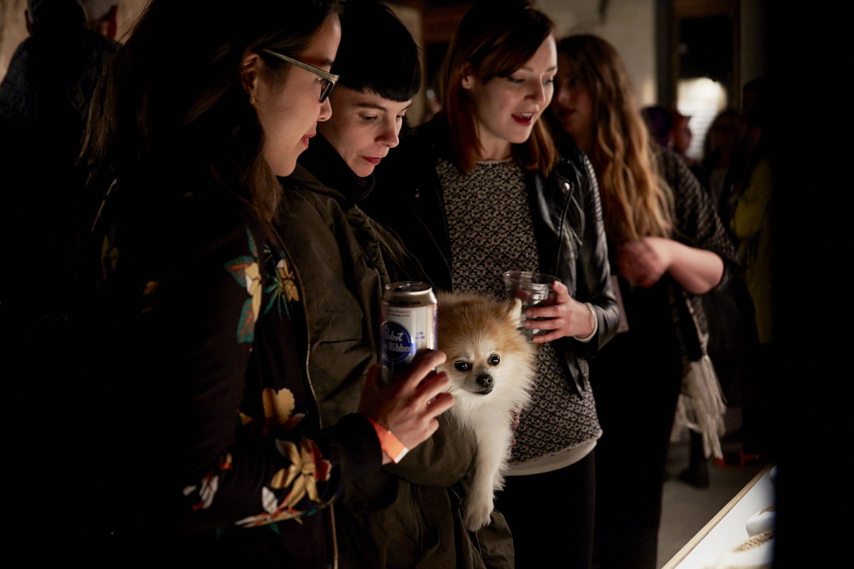 Folle nuit Chromatic au Chalet du Mont-Royal