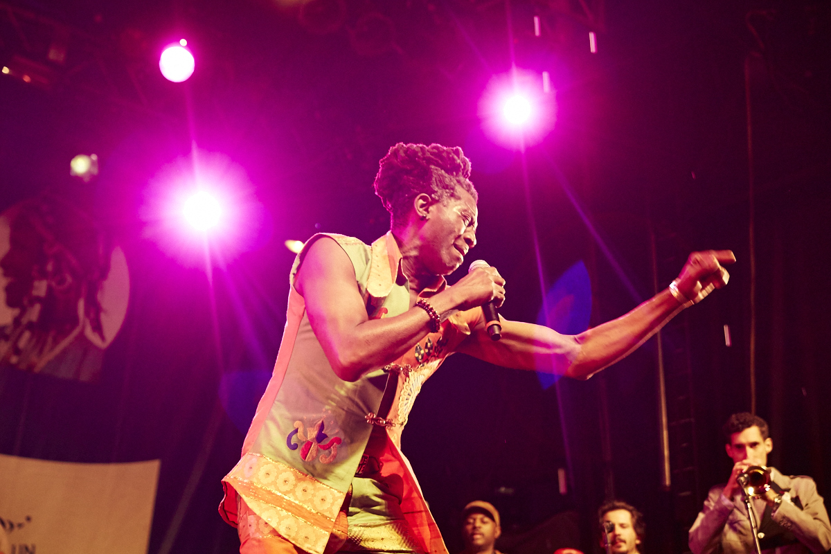 Le groupe Antibalas offre un spectacle aux rythmes uniques pour le dernier week-end des Nuits d'Afrique!