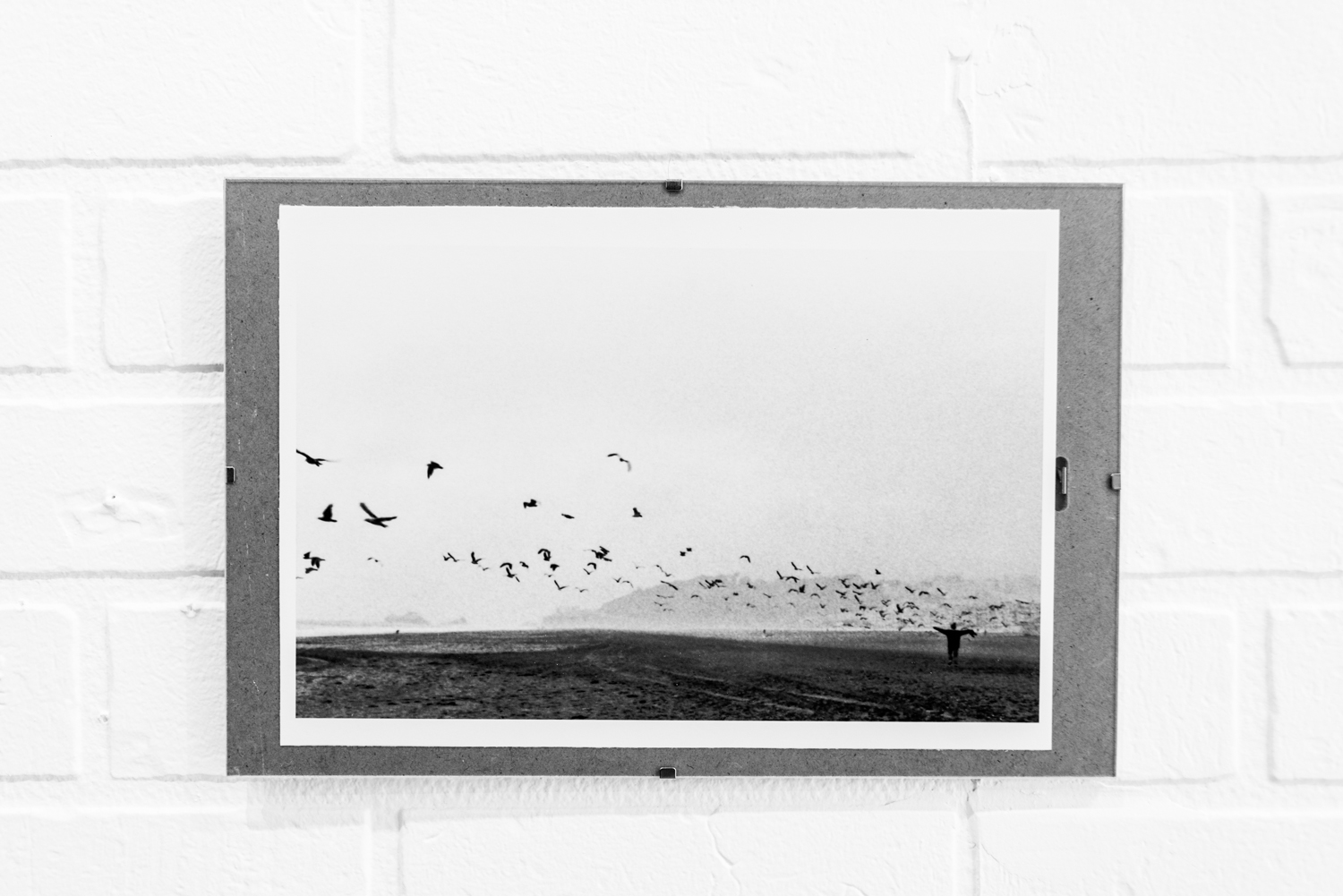 Le Studio Argentique, une top boutique de photographie argentique ouvre sur le Plateau