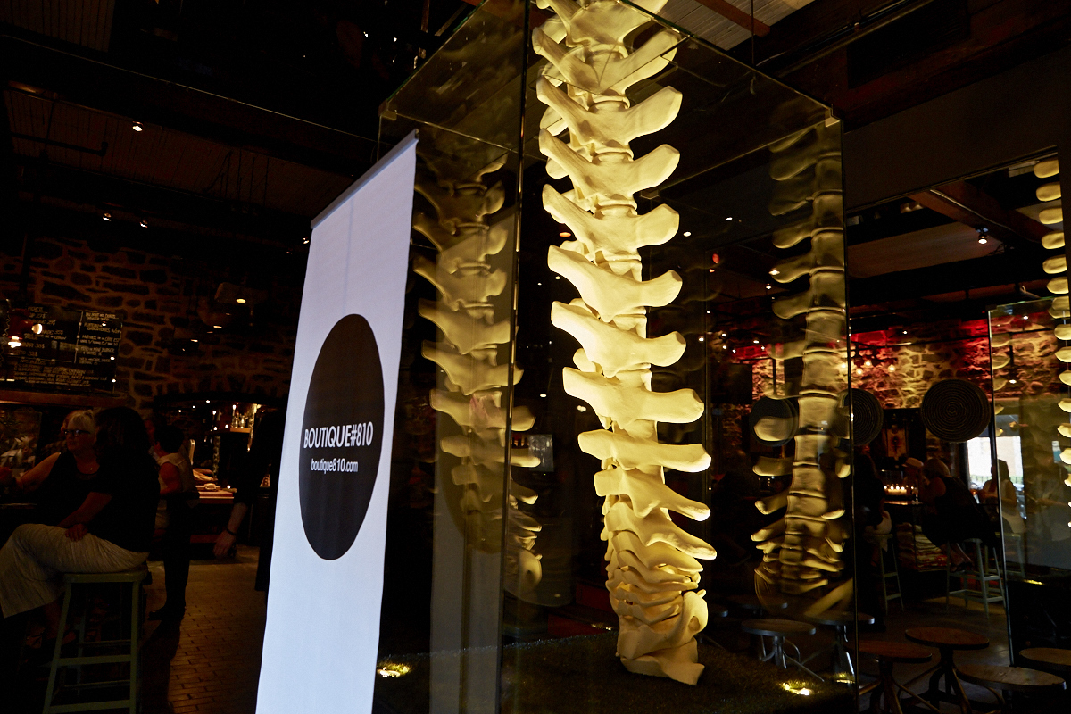 La nouvelle Boutique #810 propose des chandails avec des chats trop beaux et des pugs trop cute