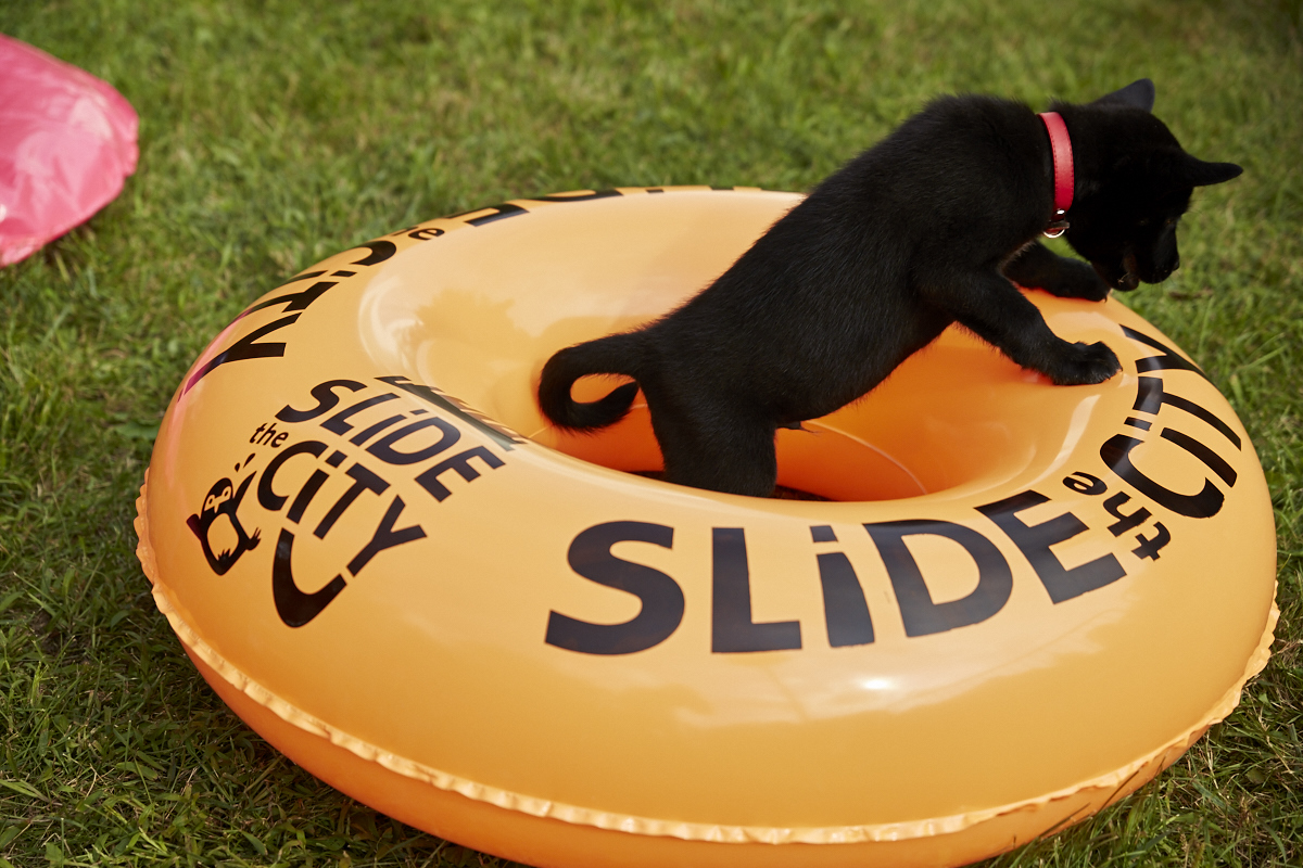 Slide the City fait glisser les Montréalais sur 305 mètres au Stade olympique