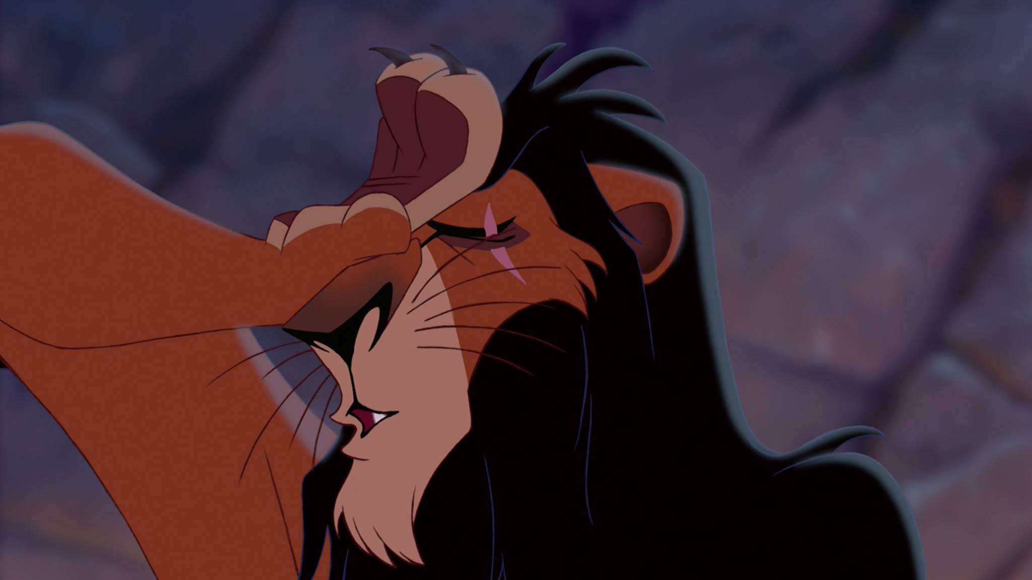Un « remake » du film culte Le Roi Lion se prépare
