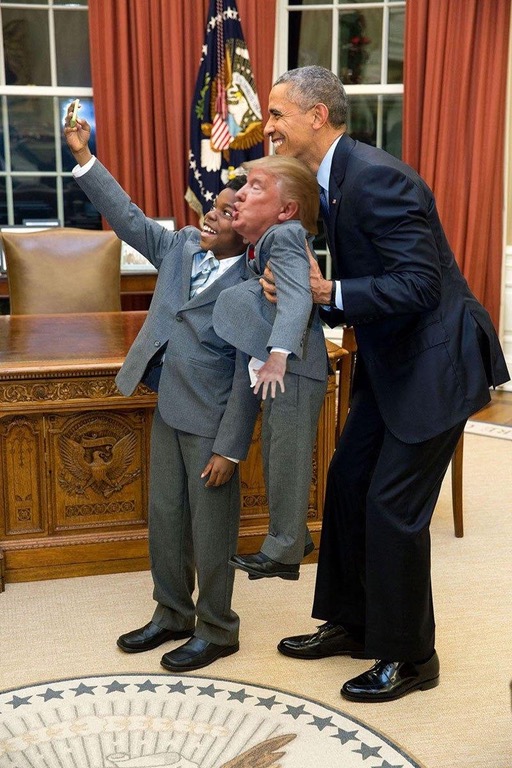 Tiny Trumps: 10 photos du nouveau meme de l'heure