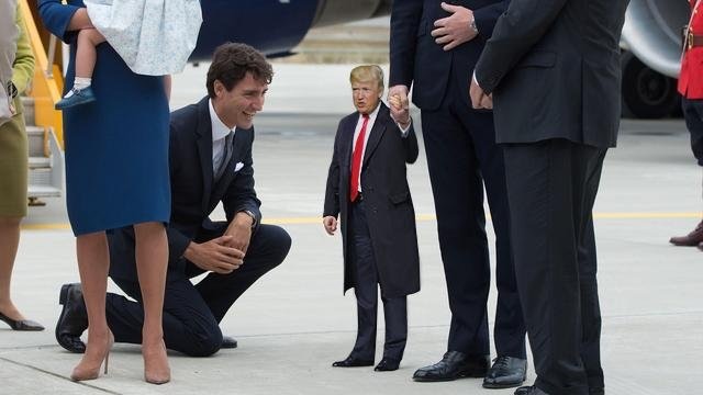 Tiny Trumps: 10 photos du nouveau meme de l'heure