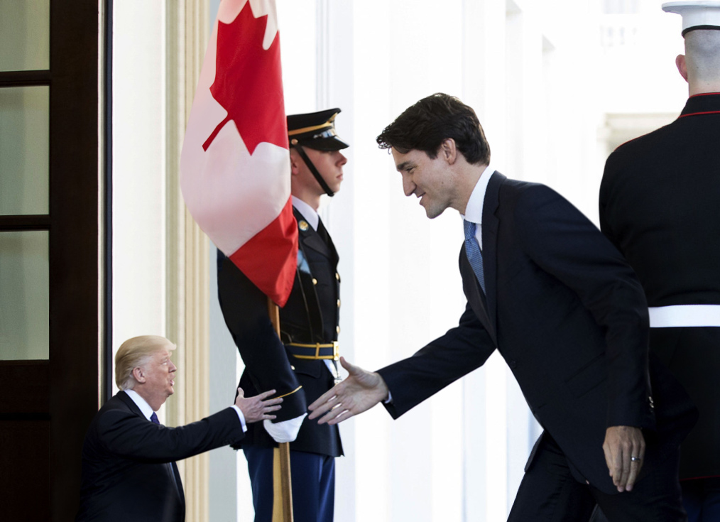 Tiny Trumps: 10 photos du nouveau meme de l'heure