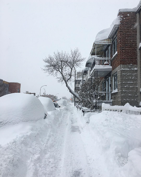 20 photos hallucinantes de la tempête qui frappe actuellement le Québec