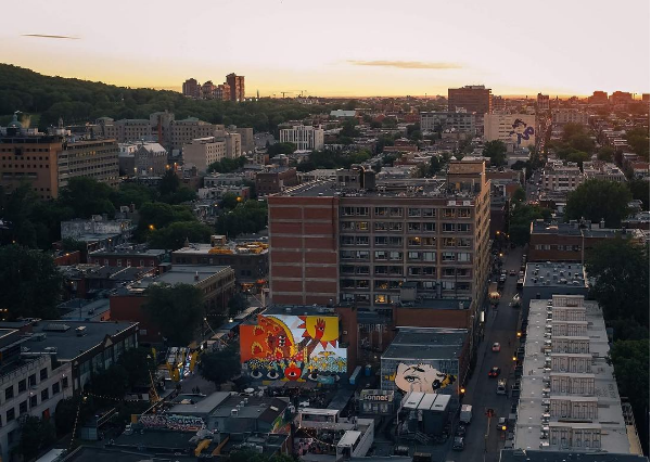 15 photos des plus belles oeuvres du festival MURAL