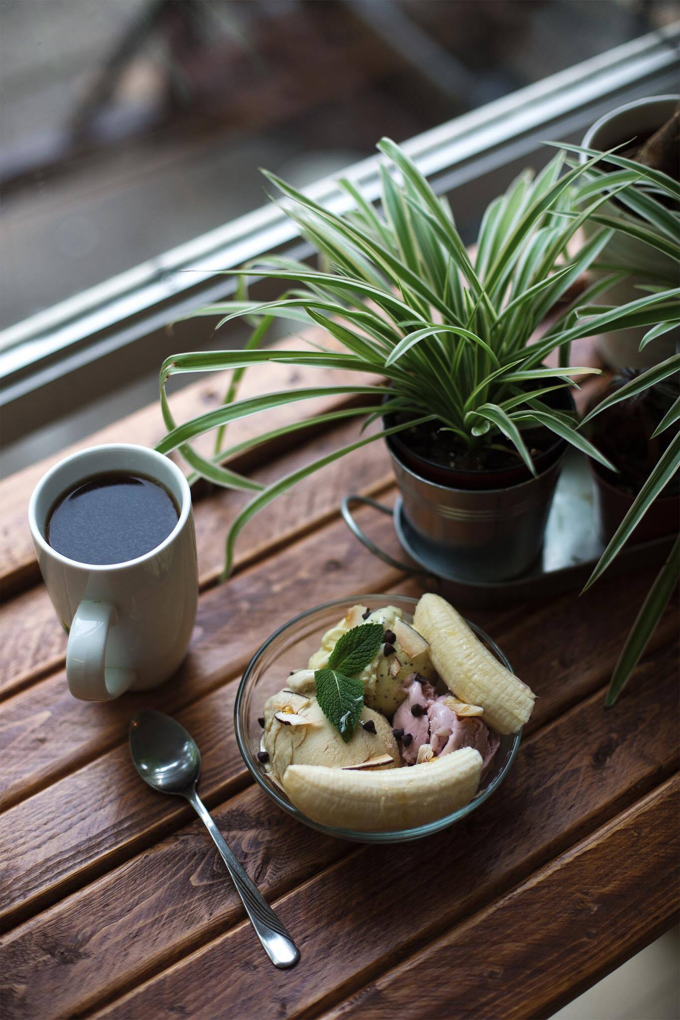 Un nouveau magasin/resto complètement VEGAN s'installe à Montréal
