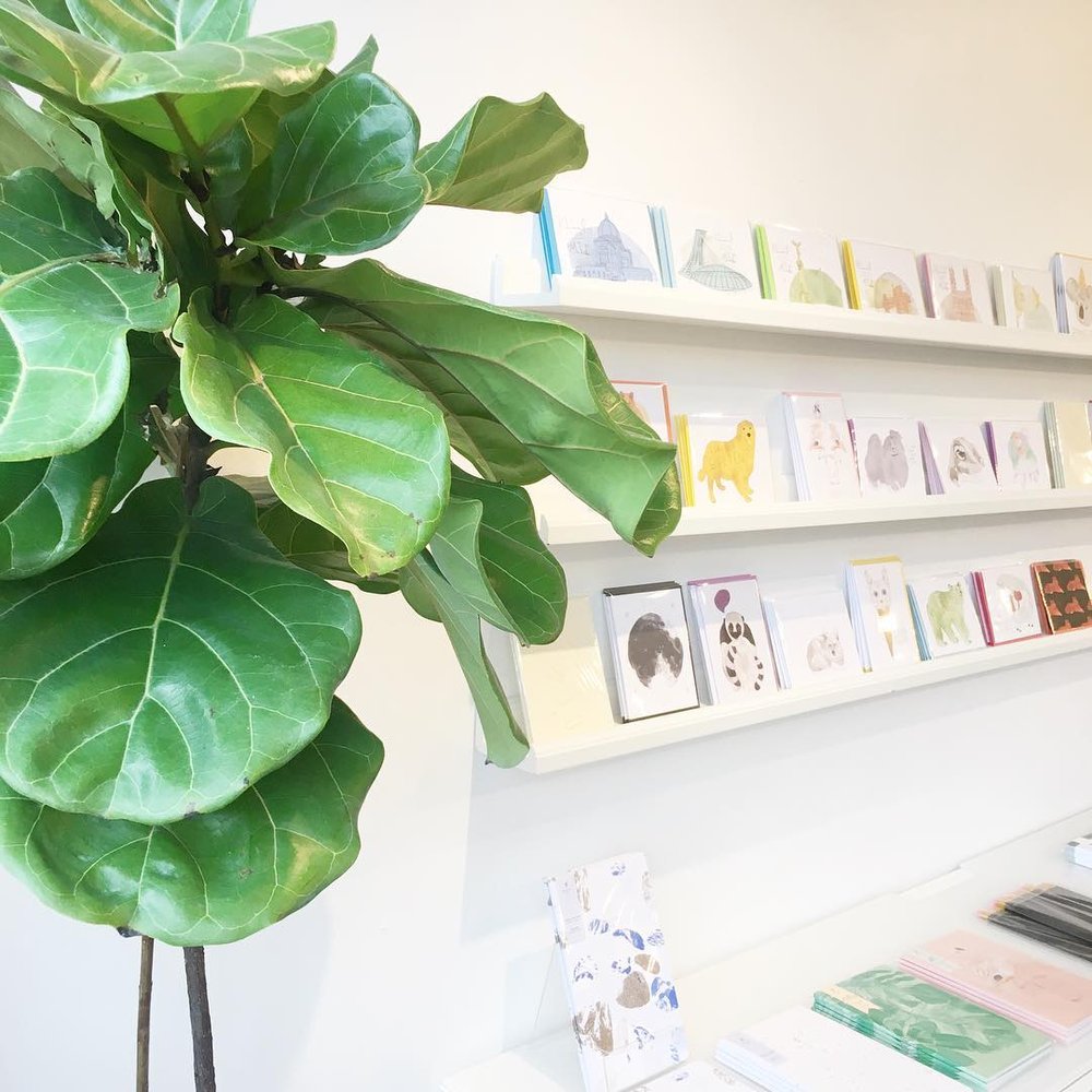 La trop belle marque de papeterie & illustrations Baltic Club ouvre une boutique sur Saint-Laurent