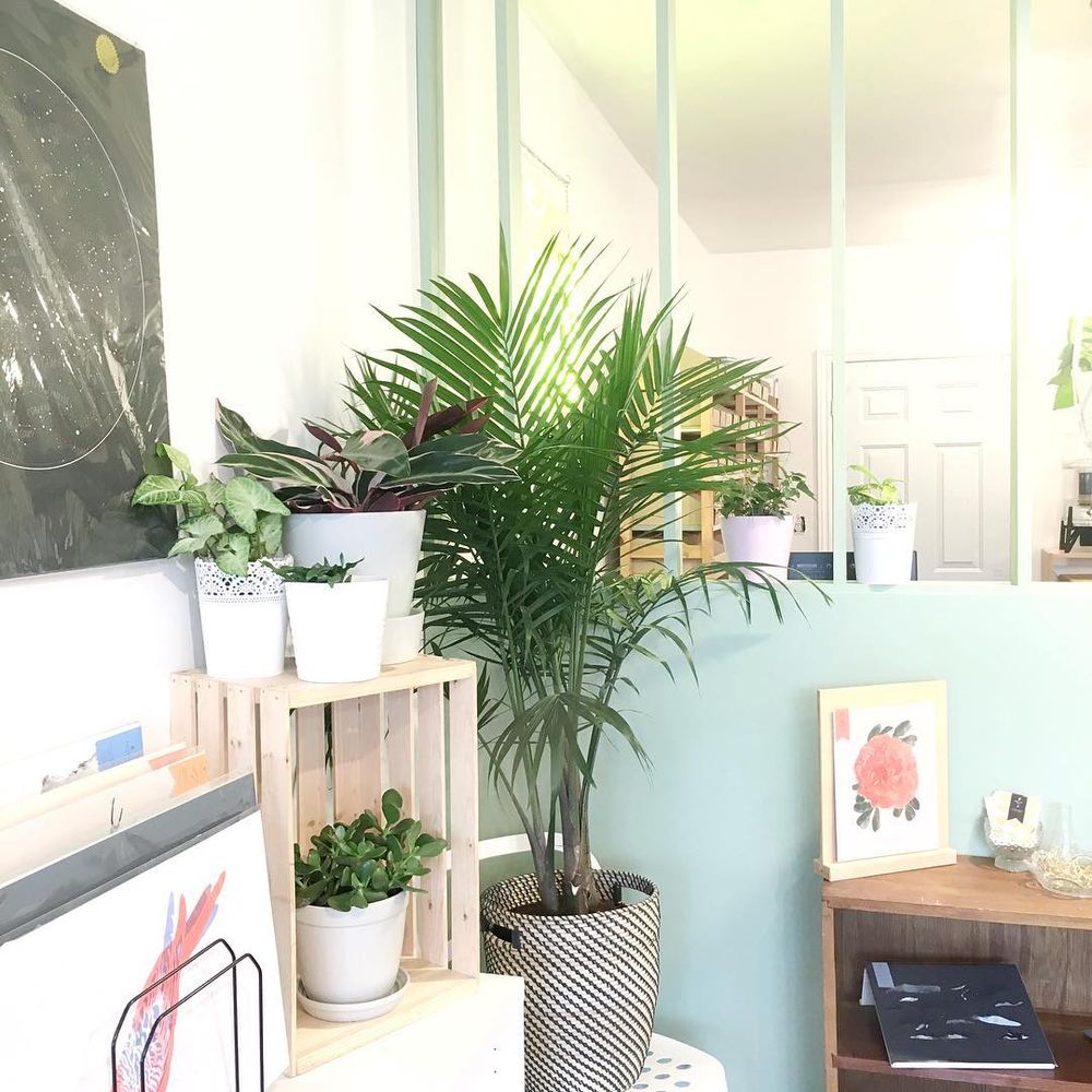 La trop belle marque de papeterie & illustrations Baltic Club ouvre une boutique sur Saint-Laurent