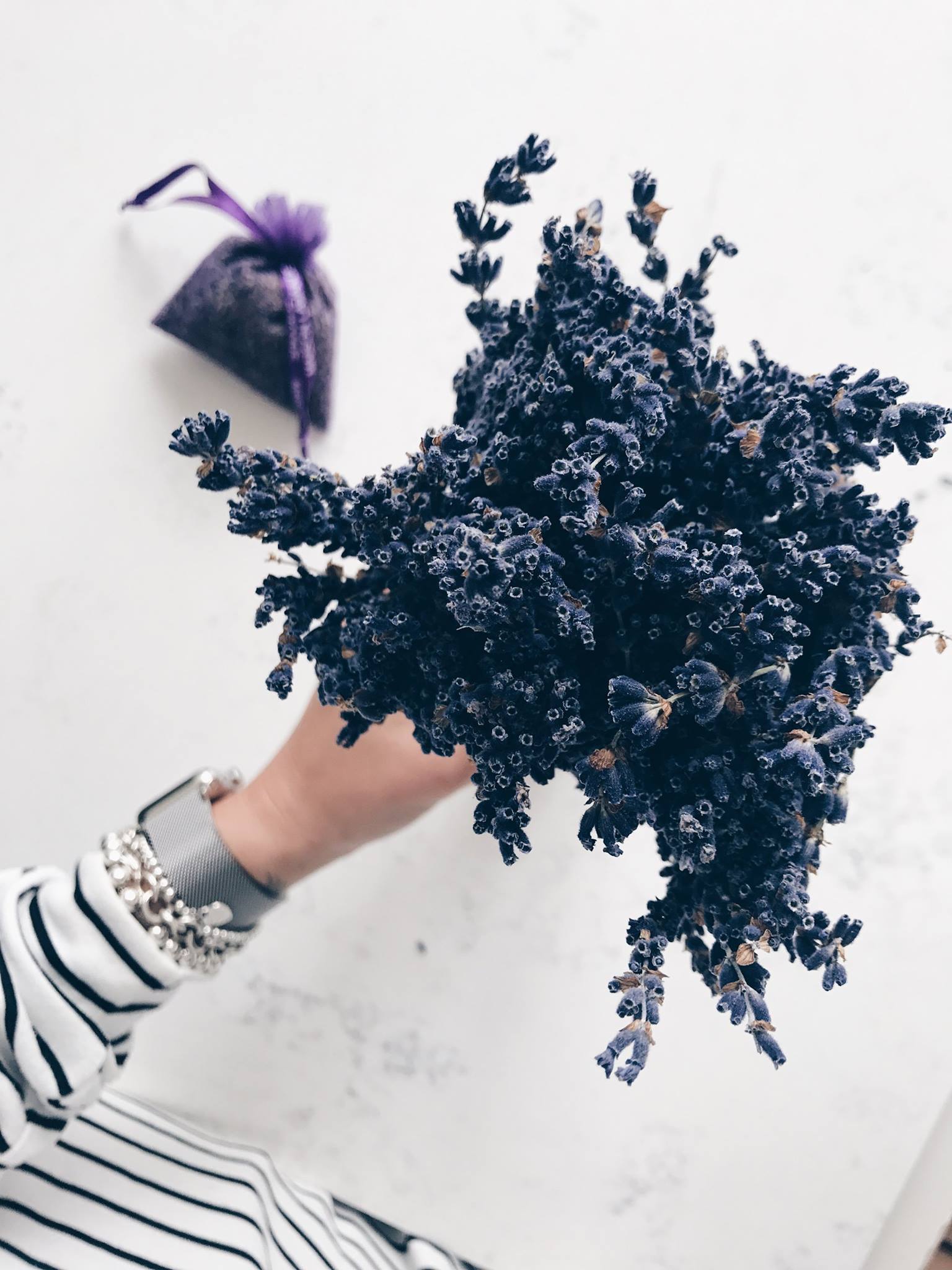 Le Spot de la semaine: La Maison Lavande et ses champs de fleurs à perte de vue