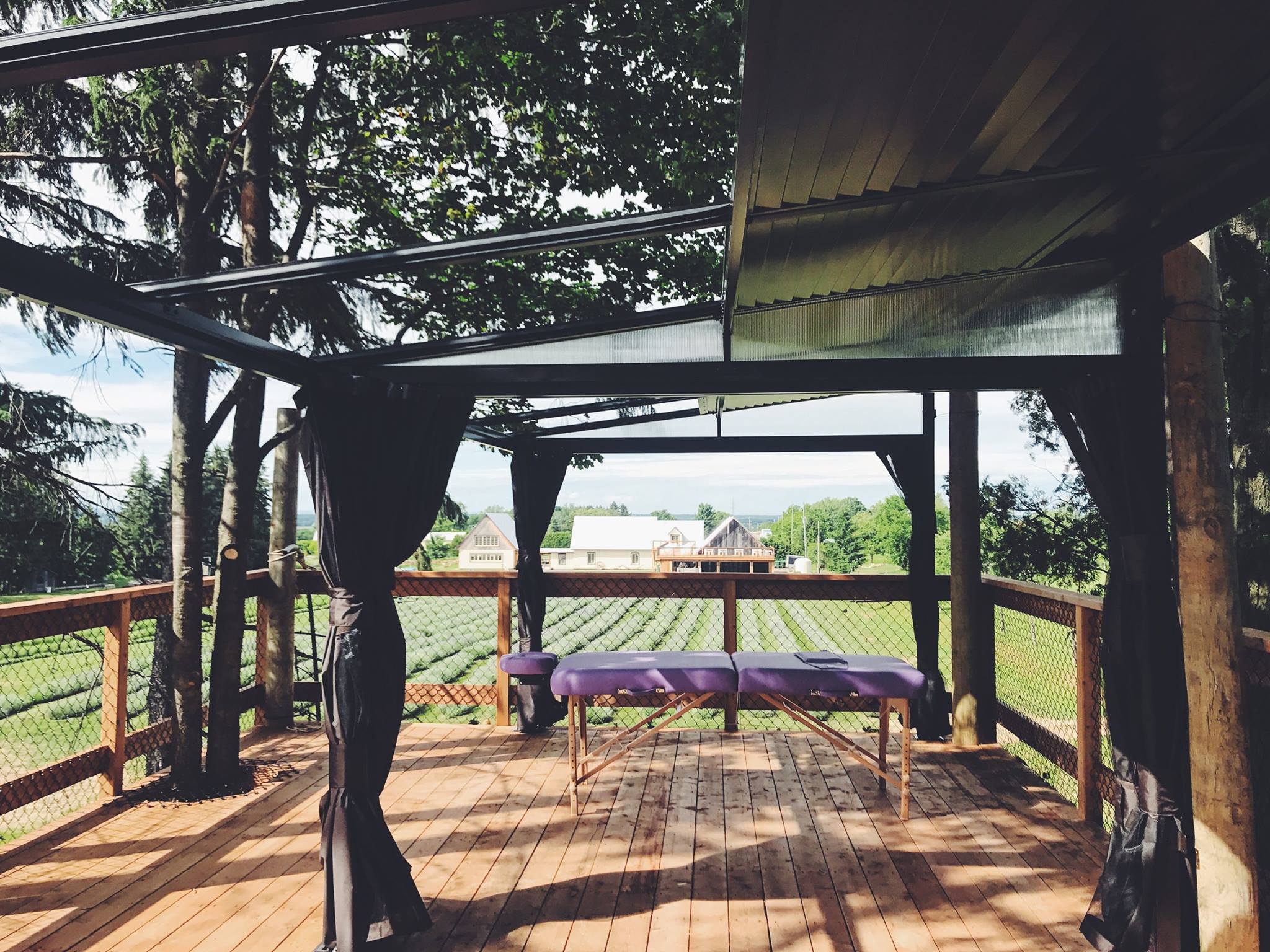 Le Spot de la semaine: La Maison Lavande et ses champs de fleurs à perte de vue