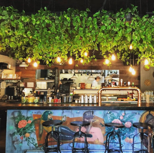 Le Spot de la semaine: le Suwu, ses plantes et sa carte de cocktails originale