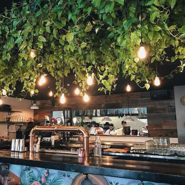 Le Spot de la semaine: le Suwu, ses plantes et sa carte de cocktails originale