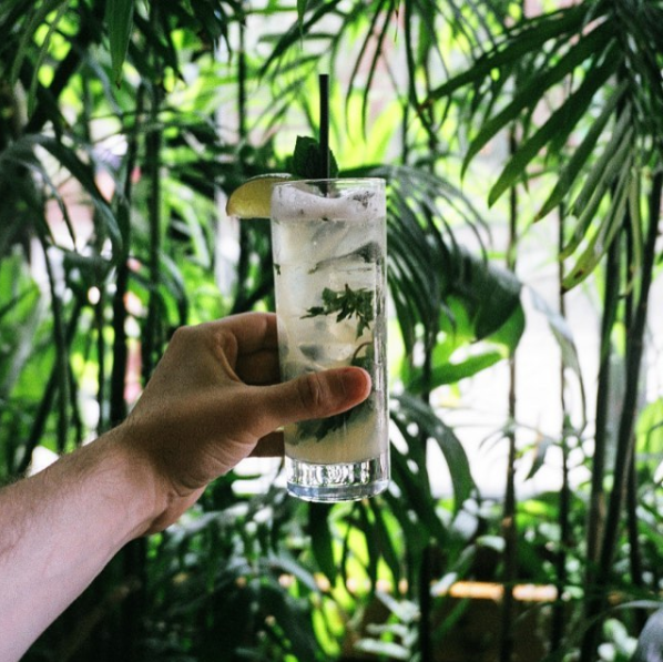 Le Spot de la semaine: le Suwu, ses plantes et sa carte de cocktails originale