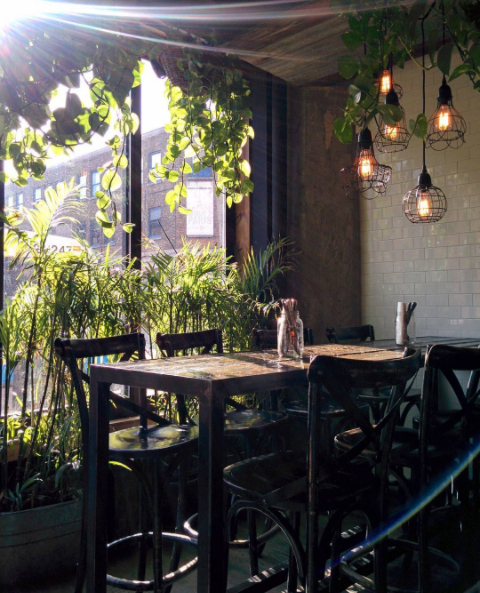 Le Spot de la semaine: le Suwu, ses plantes et sa carte de cocktails originale