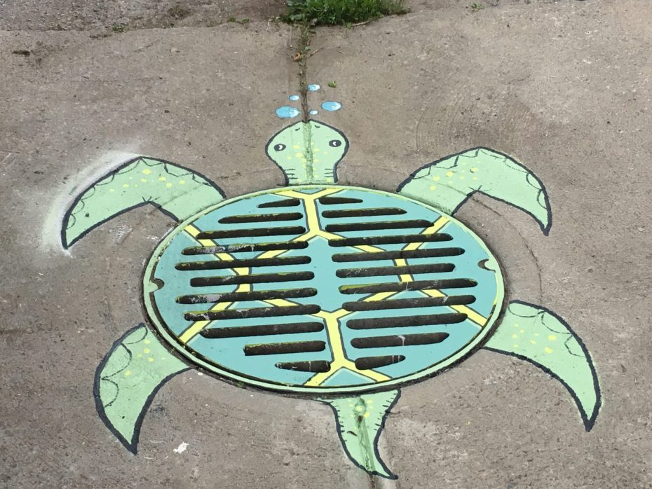 15 photos de bouches d’égout transformées dans les rues de Montréal