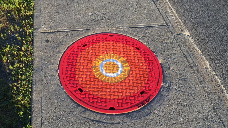15 photos de bouches d’égout transformées dans les rues de Montréal