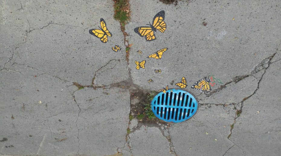 15 photos de bouches d’égout transformées dans les rues de Montréal