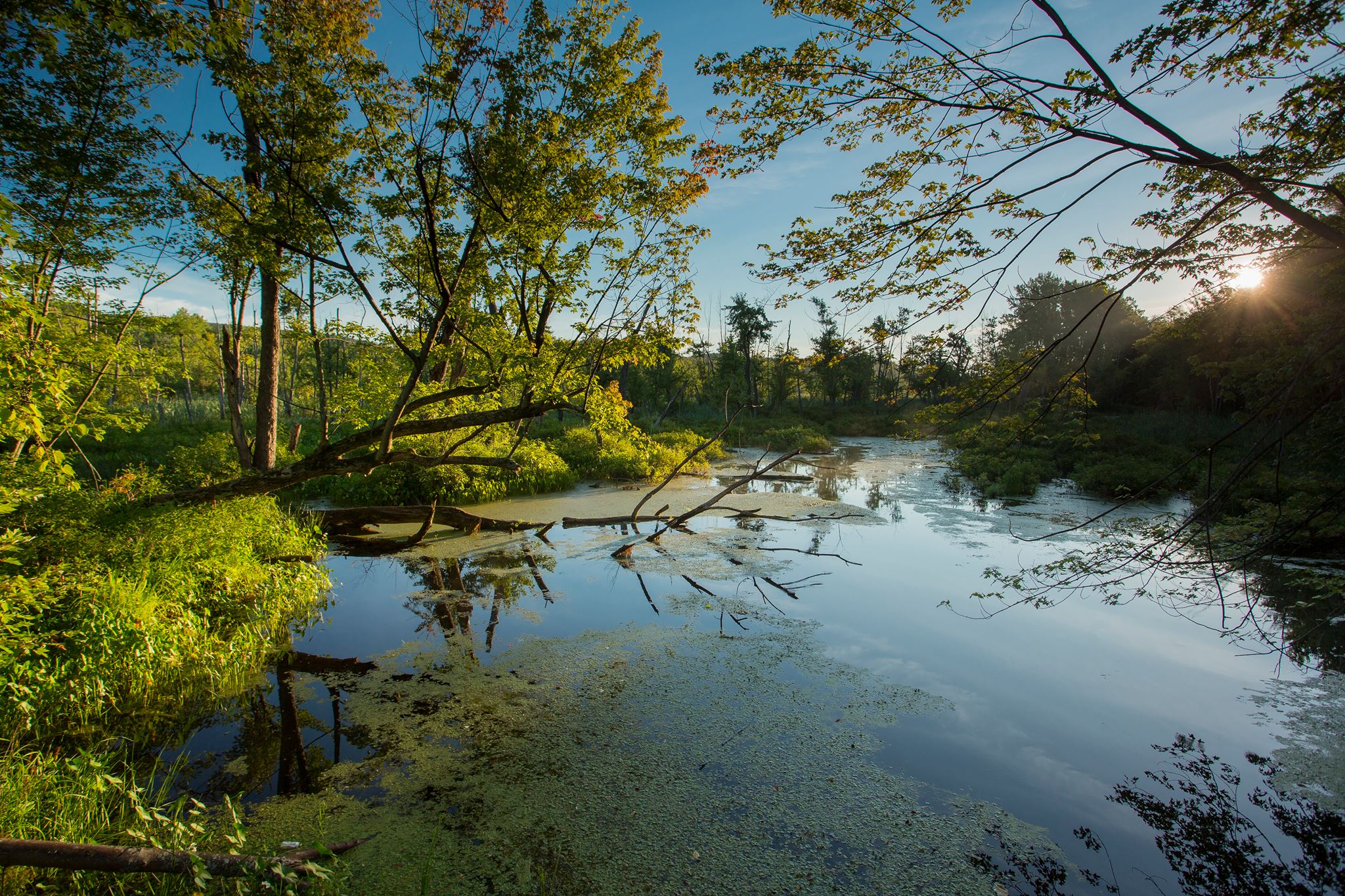 Les parcs nationaux du Québec seront tous gratuits demain