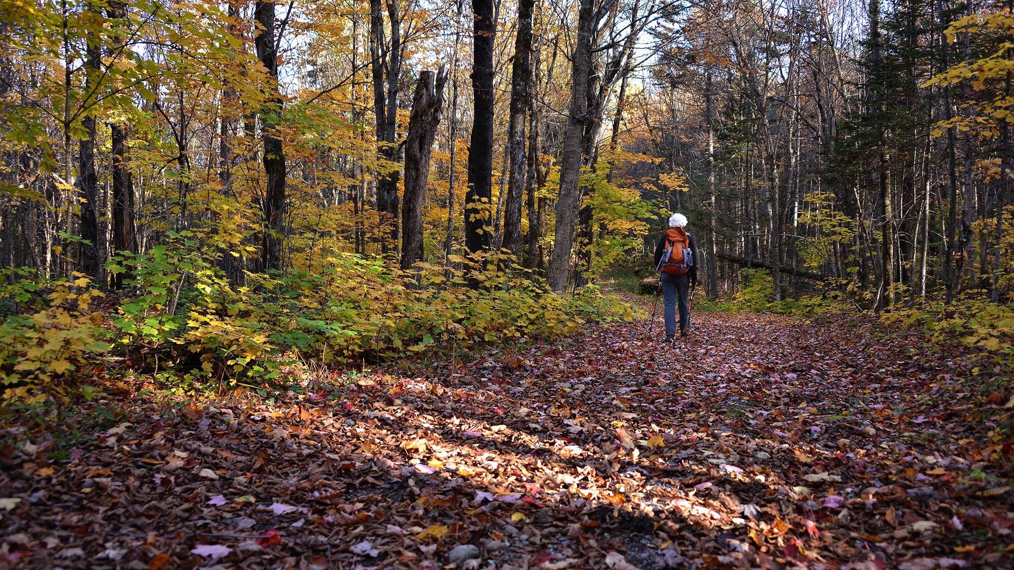Les parcs nationaux du Québec seront tous gratuits demain