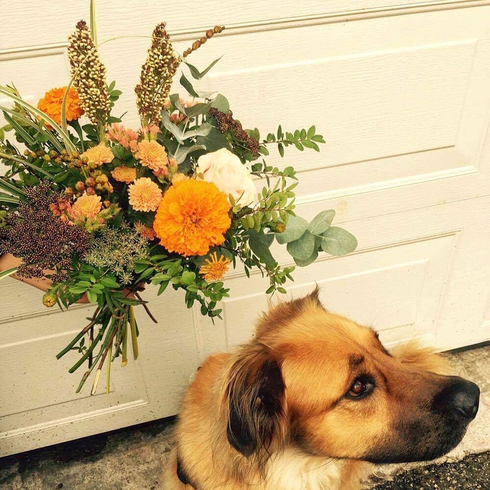 Une boutique éphémère de cactus et de fleurs aura lieu jusqu'à la fin de l'été