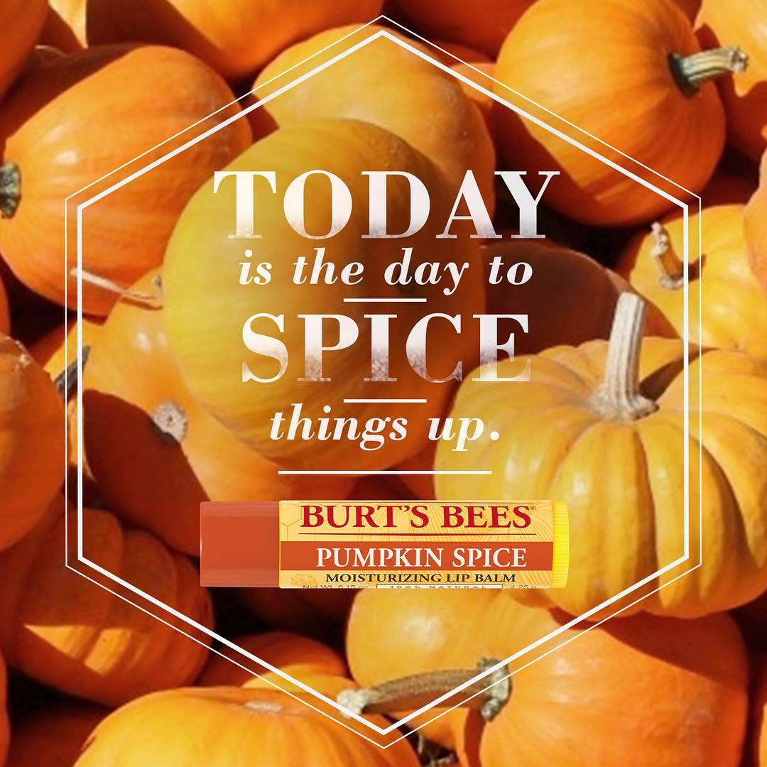 15 produits pour combler le fan de Pumpkin Spice en toi