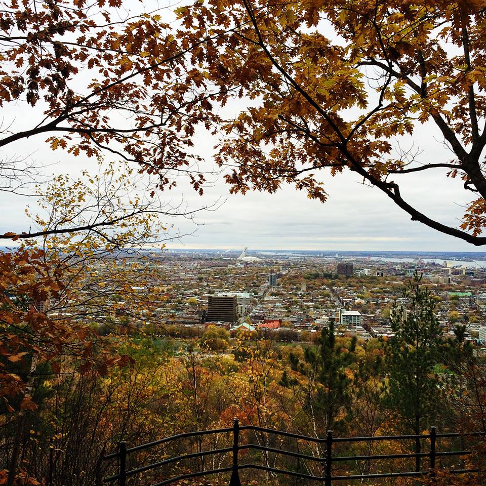Le mont Royal nommé comme l'un des meilleurs parcs au monde