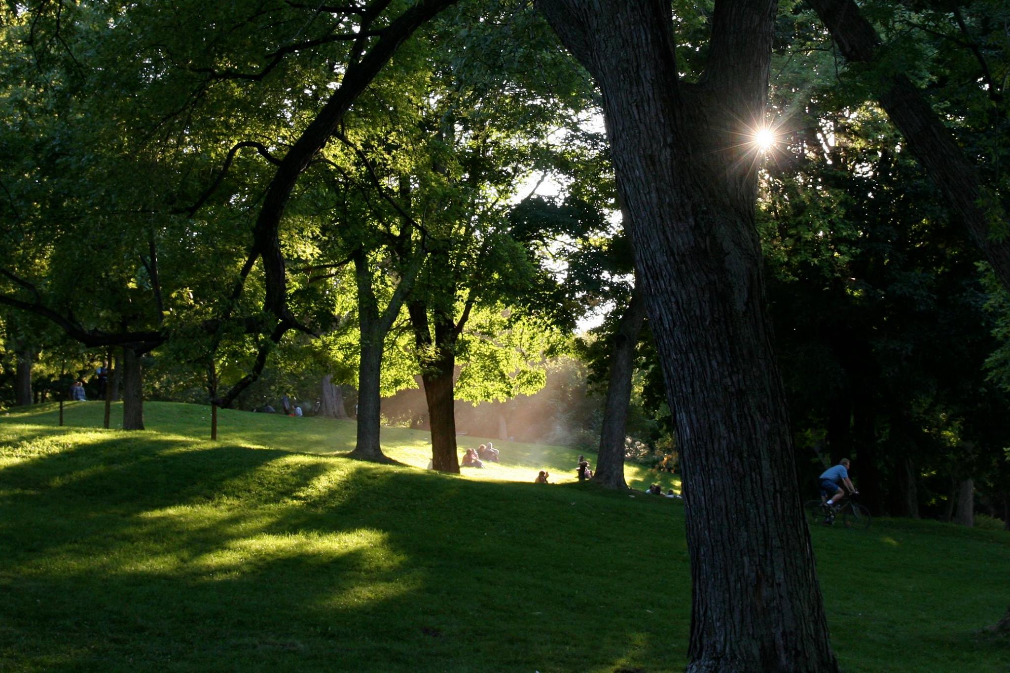 Le mont Royal nommé comme l'un des meilleurs parcs au monde