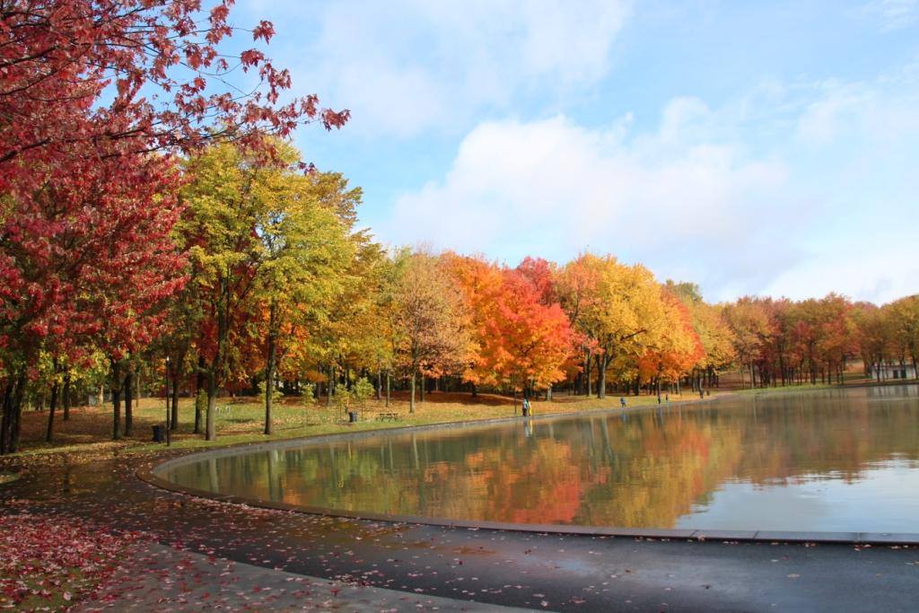 Le mont Royal nommé comme l'un des meilleurs parcs au monde