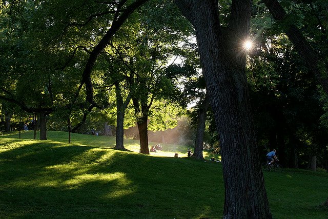 Le mont Royal nommé comme l'un des meilleurs parcs au monde