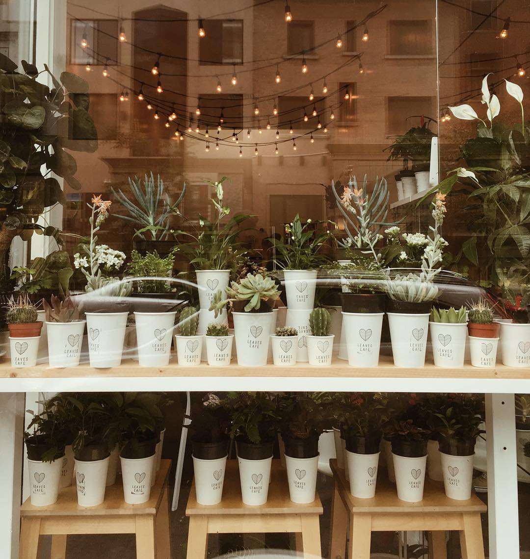 Ce café montréalais te donne une plante à l'achat d'un latte