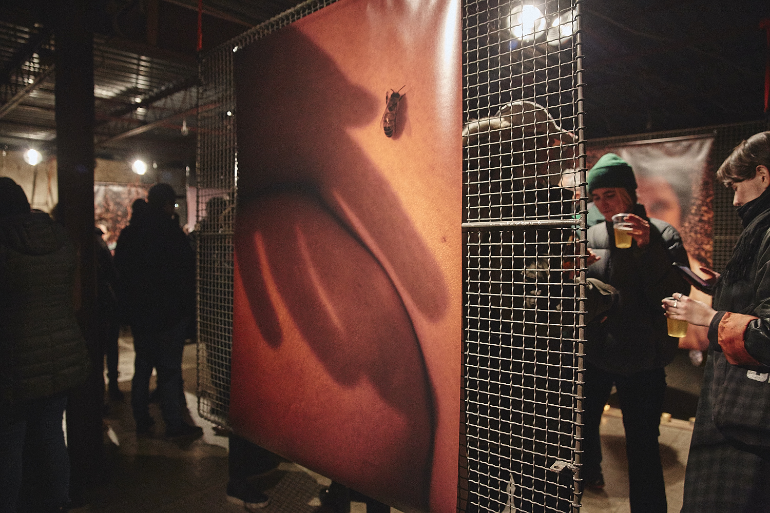 Exposition du calendrier nu 2018 d'Alvéole signé LePigeon (PHOTOS)