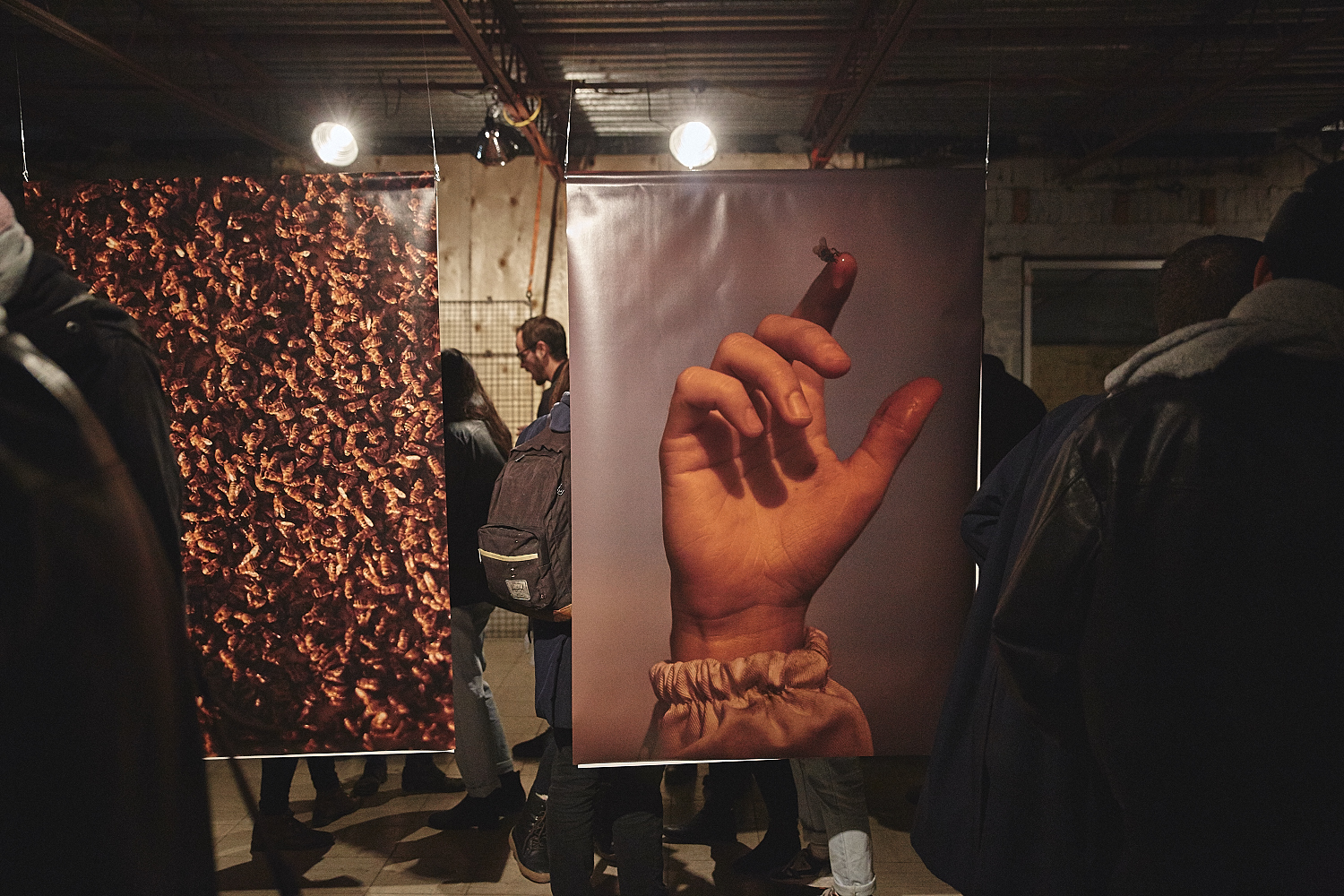 Exposition du calendrier nu 2018 d'Alvéole signé LePigeon (PHOTOS)