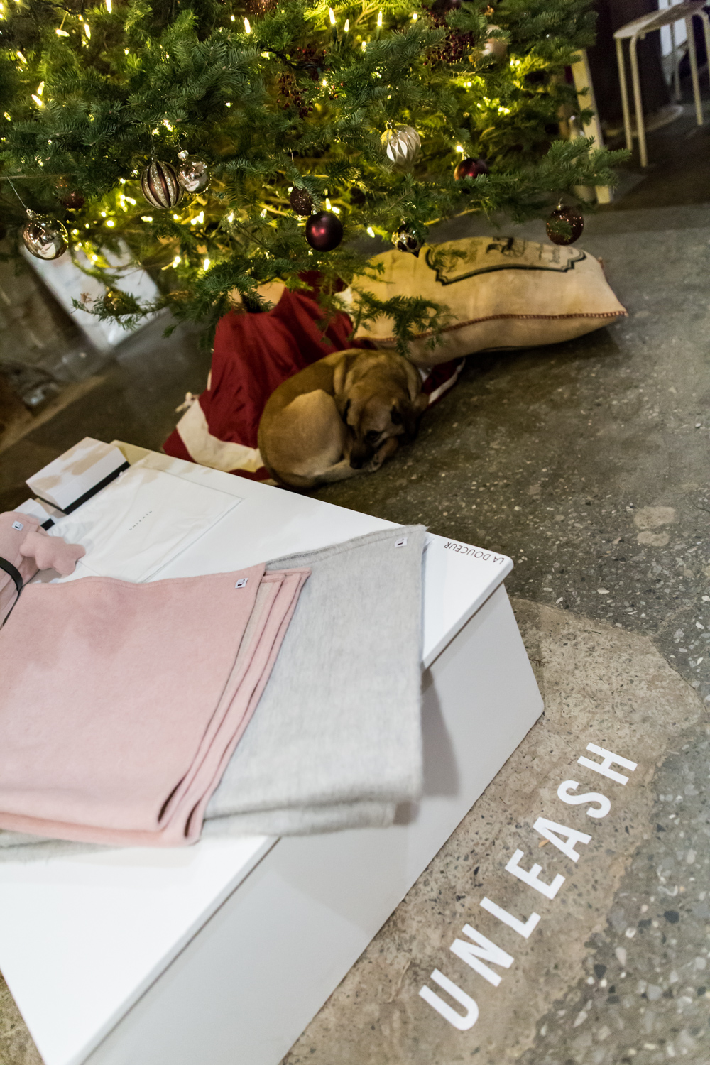 Soirée de lancement du Collectif des Fêtes : un marché éphémère 100% local au centre-ville (PHOTOS)