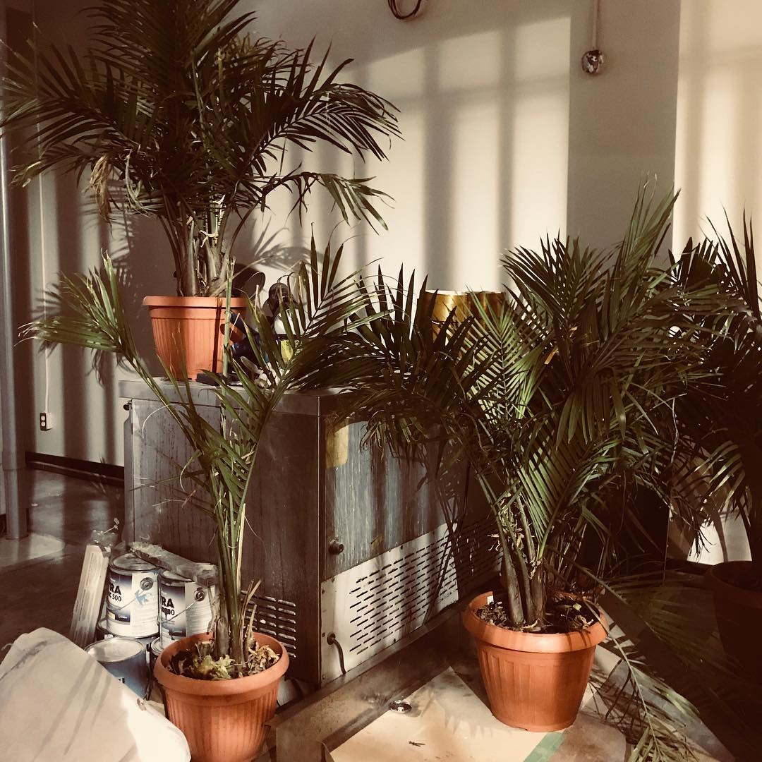 Un nouveau bar débarque bientôt dans Verdun